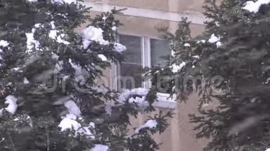 窗户上下雪，城市里的暴风雪冬季景象，城市里的暴风雪景色